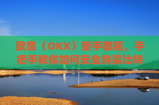 欧意（OKX）新手教程，手把手教你如何安全购买比特币_欧元怎么买比特币