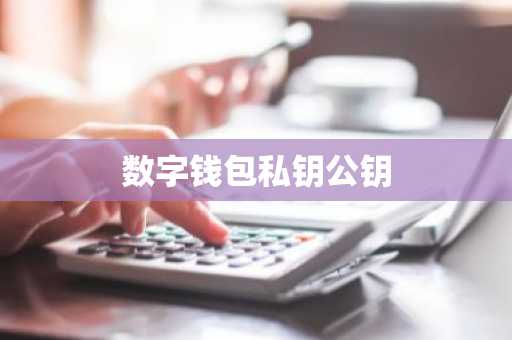数字钱包私钥公钥