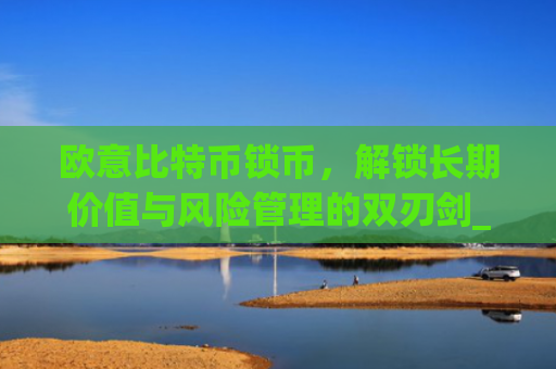 欧意比特币锁币，解锁长期价值与风险管理的双刃剑_欧比特币app