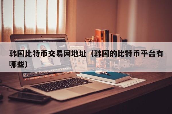 韩国比特币交易网地址(韩国的比特币平台有哪些)