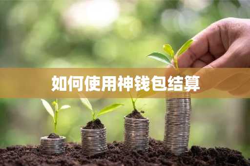 如何使用神钱包结算