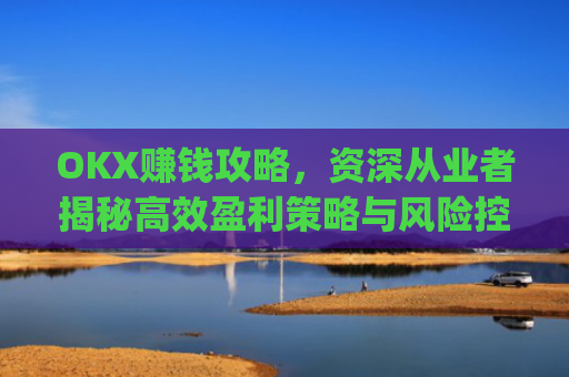 OKX赚钱攻略，资深从业者揭秘**盈利策略与风险控制_okx赚钱图片